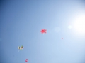 IMG_3441.jpg